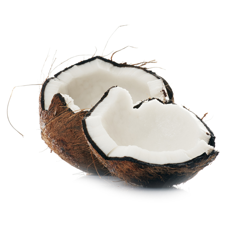 Coco de agua