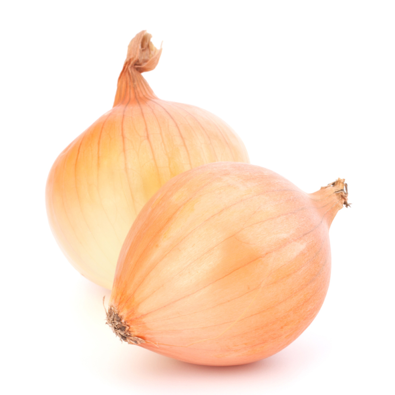 Cebolla