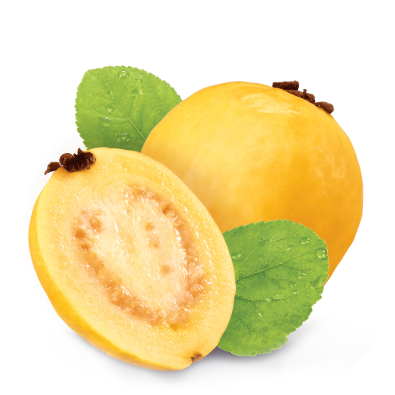 Guayaba