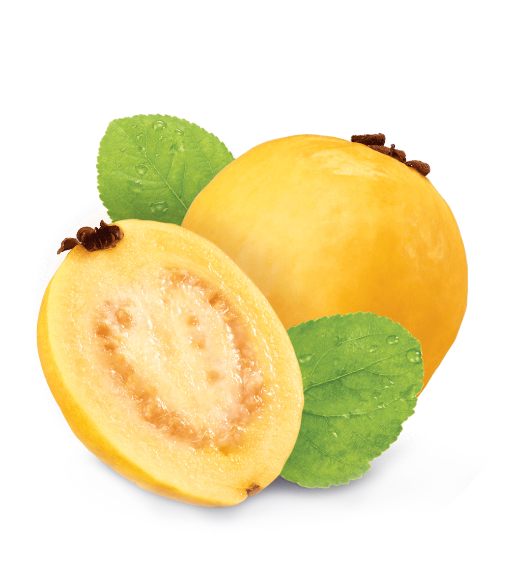 Guayaba