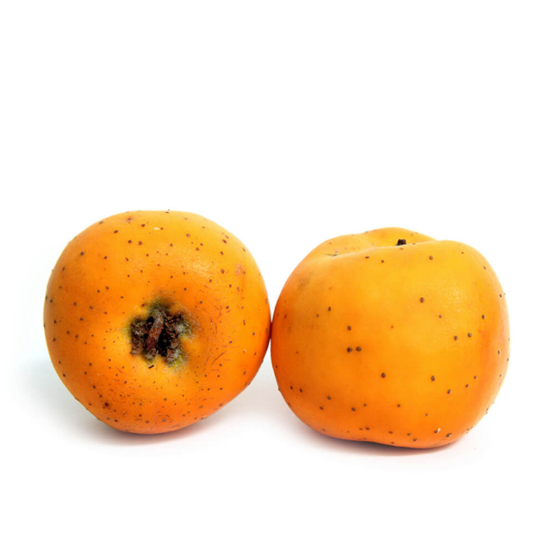 Tejocote