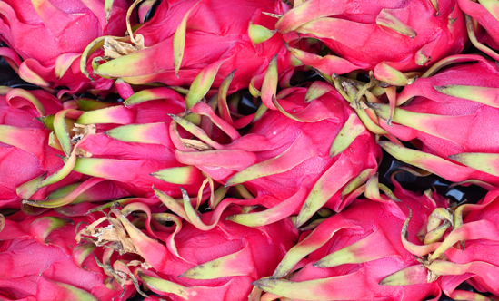 pitahaya-footer